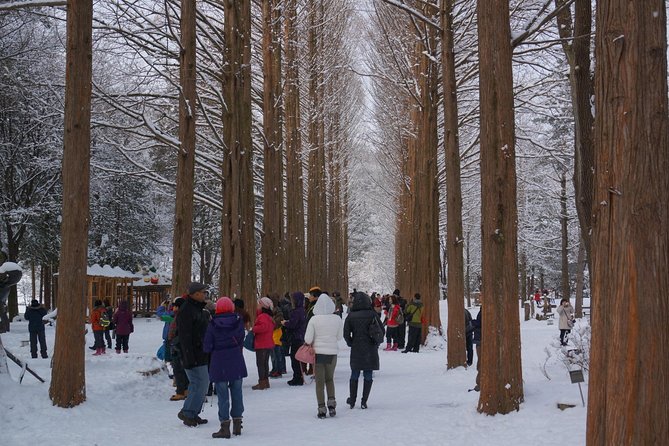 Private Tour Nami Island with Petite France 'and/or' The Garden of Morning Calm - Nami Island: a famous peninsula retreat with K-drama pull