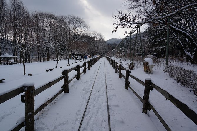 Private Tour Rail Bike & Nami Island & (Petite France or Garden of Morning Calm) - Guide-led storytelling, from Andy to Benny to Mr Kim