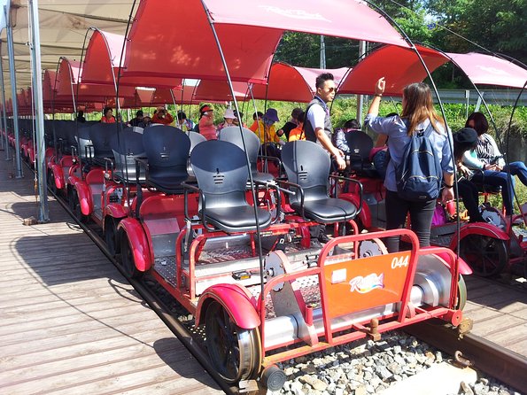 Private Tour Rail Bike & Nami Island & (Petite France or Garden of Morning Calm) - Who this private day trip is best for
