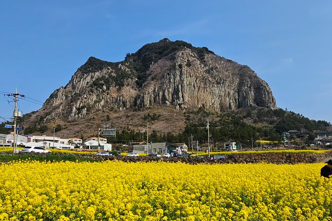 Private Tour South and West Jeju Island with Experienced Driver - Jeongbang Waterfall: the must-see that drops straight into the sea