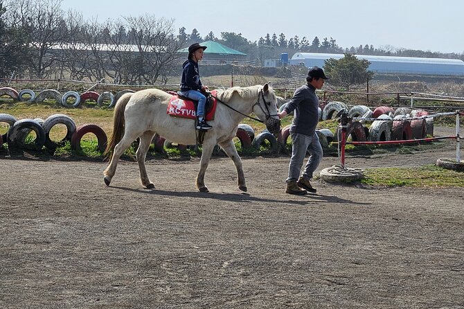 Private Tour South and West Jeju Island with Experienced Driver - Oedolgae and the promenade to Seonnyeotang: sea rocks and island views
