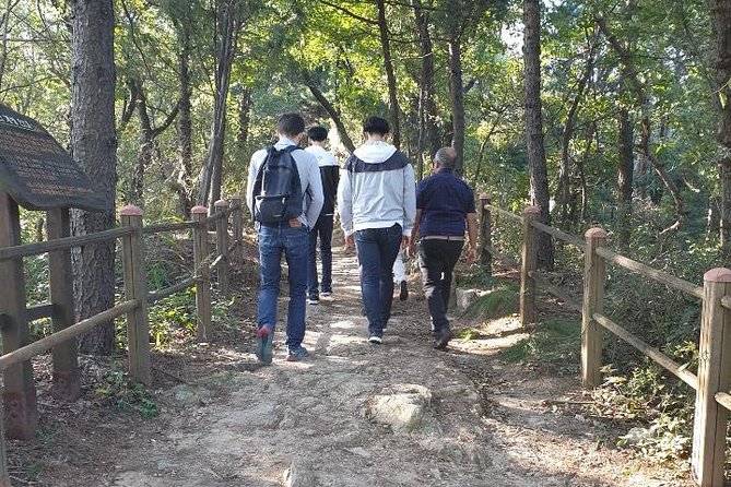 Private Tour: Talk show with N.K. Defector and Short Hiking - Odusan Unification Tower observatory views of North Korean farmland