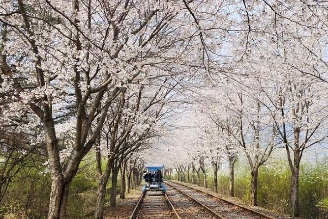 Private Tour to Alpaca world &Nami Island& Railbike with Tickets - Nami Island in Two Hours: Song Village Feel Without the Day Trap