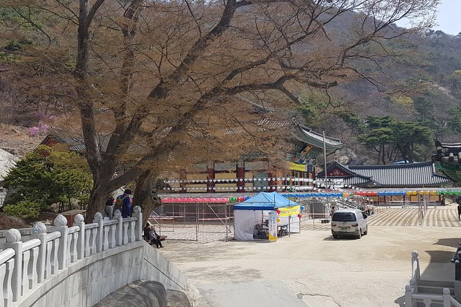 Private Trip to Seongmo Island(Temple) and North Korea Observatory+Kimchi Lesson - UNESCO time: the Bugeun-ri Dolmen break in the schedule