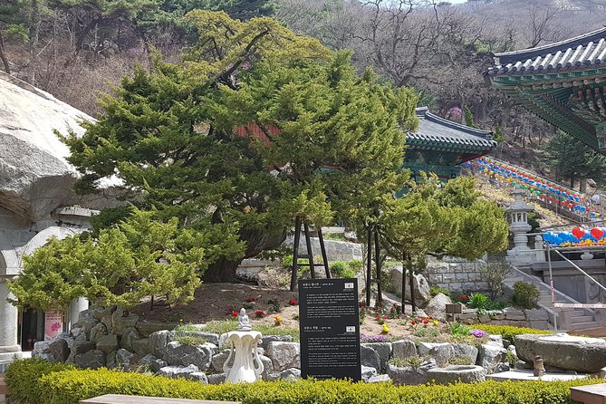 Private Trip to Seongmo Island(Temple) and North Korea Observatory+Kimchi Lesson - What to bring for a 9-hour day (and where you might spend money)