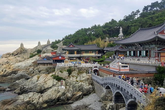 Real Busan Walking Experience - Gamcheon Culture Village: Nostalgia in Colorful Alleys
