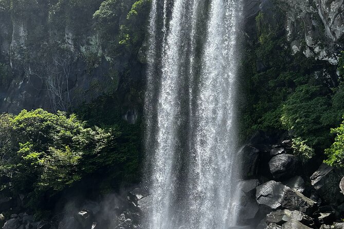Seogwipo(the southern city of Jeju) Art Museum Walking Tour - Key highlights you should know before you go