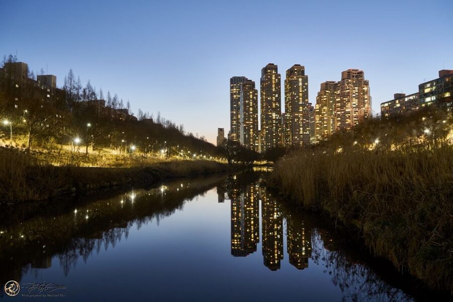Seoul: 4-Hour Gangnam Walking Tour With Customized Itinerary - Meeting your guide in Seoul, and why it changes the whole day