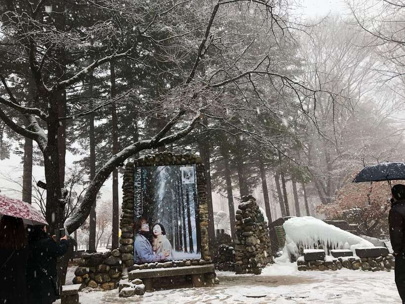 Seoul: Alpaca, Nami, Morning Calm or Eobi (+Rail Bike) - Morning Calm Garden: Curves, Calm, and Winter Lights When Available