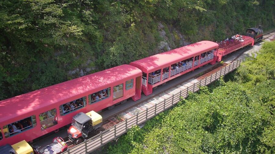 Seoul: Alpaca World & Nami Island optional Gangchon Railbike - FAQ