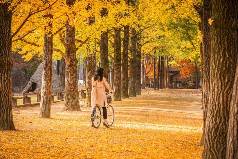 Seoul: Alpaca World & Nami Island optional Gangchon Railbike - Guide energy and group management: why it matters on a packed day