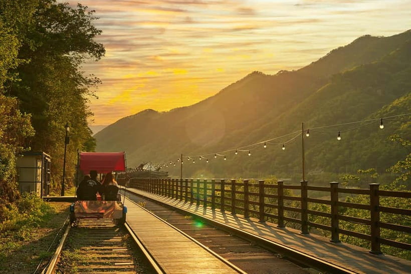 Seoul: Alpaca World & Nami Island optional Gangchon Railbike - Nami Island: tree-lined K-drama vibes and art spots