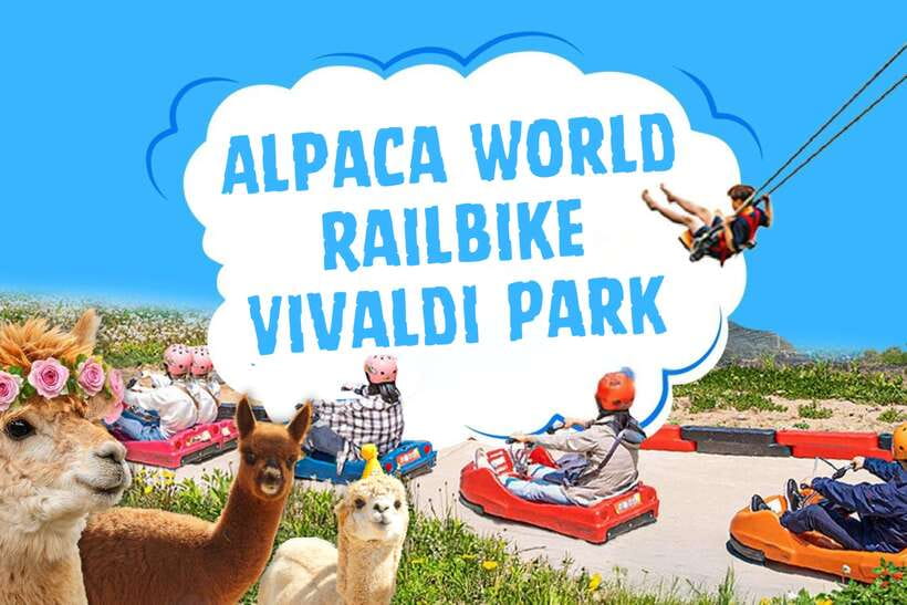 Seoul: Alpaca World, Railbike & Vivaldi Park Experience Tour - Seoul to Gangwon-do, the right kind of day trip