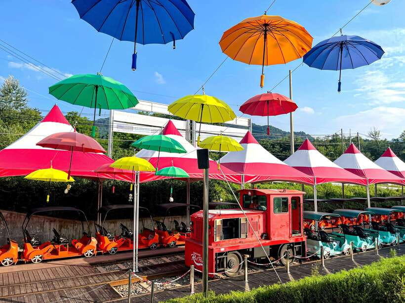 Seoul: Alpaca World, Railbike & Vivaldi Park Experience Tour - Should you book this Seoul to Alpaca World, Rail Bike, and Vivaldi Park tour?