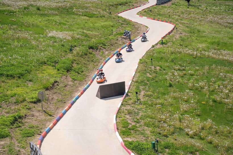 Seoul: Alpaca World, Railbike & Vivaldi Park Experience Tour - Vivaldi Park: cherry blossom road and optional thrills