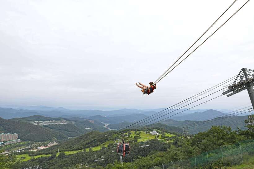 Seoul: Alpaca World, Railbike & Vivaldi Park Experience Tour - Timing, pacing, and what to pack for the full 12 to 13 hours