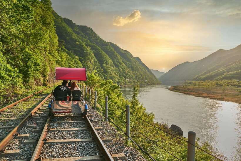 Seoul: Alpaca World, Railbike & Vivaldi Park Experience Tour - Price and value: how $86 can work for you
