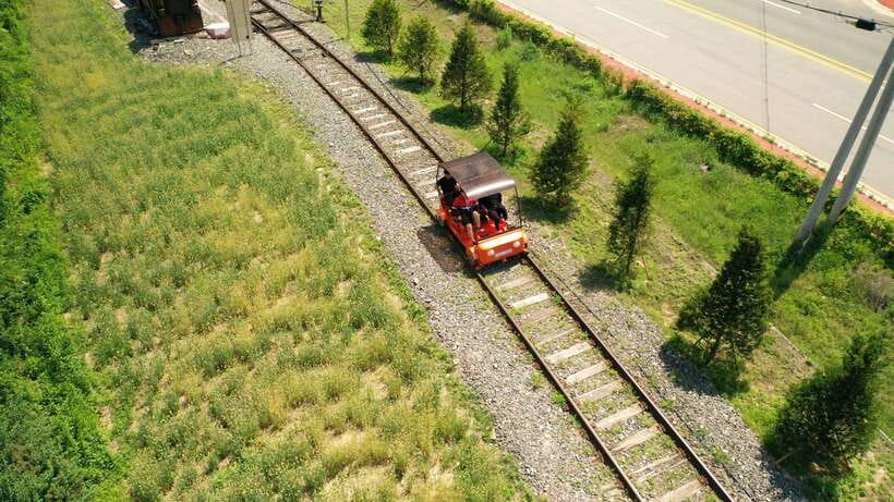 Seoul: Alpaca World, Railbike & Vivaldi Park Experience Tour - The best way to enjoy each stop without rushing