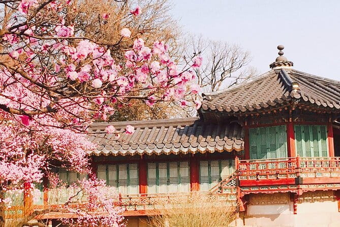 Seoul and Suburbs Private Customized Tour - Tips to make this day trip feel effortless
