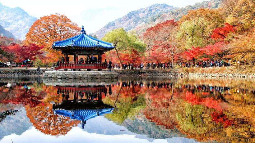 Seoul: Autumn Foliage - Mt. Naejang + Jeonju Hanok Village - Naejangsan in autumn: why timing matters in Jeolla-do