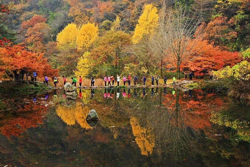Seoul: Autumn Foliage - Mt. Naejang + Jeonju Hanok Village - Inside Naejangsan: the shuttle bus fee you should budget for