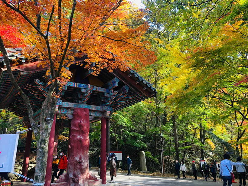 Seoul: Autumn Foliage - Mt. Naejang + Jeonju Hanok Village - Price and value: is $61 worth it for a full 16-hour Seoul day trip?