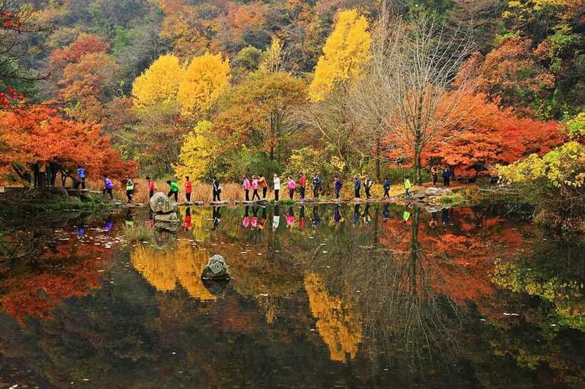 Seoul: Autumn Foliage - Mt. Naejang + Jeonju Hanok Village - Who should book this Naejangsan and Jeonju combo?