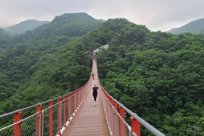 Seoul Beauty & Beyond Tour - Mobile ticket, meeting points, and how to avoid common timing stress