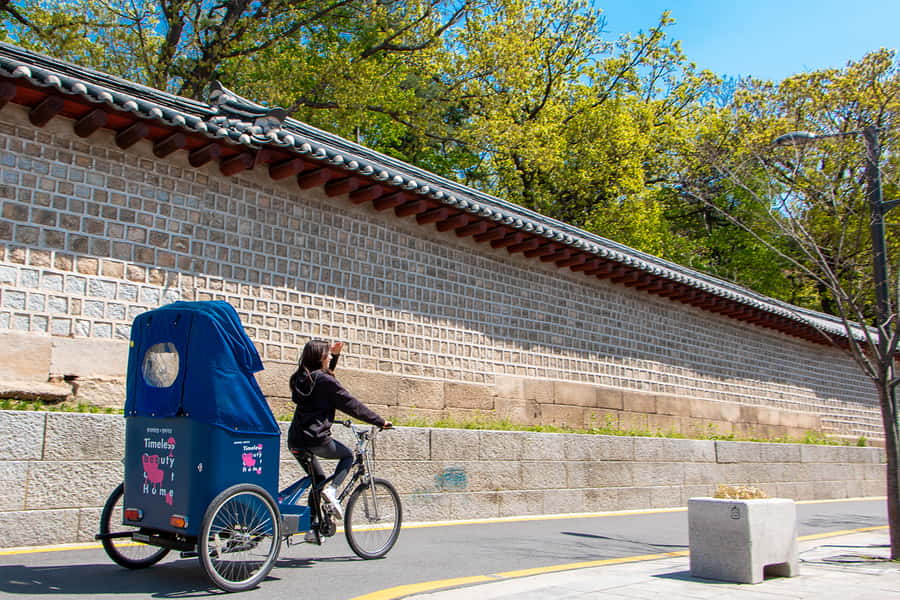 Seoul: Bukchon Hanok Village Pedicab Tour - The guide experience: what makes it feel worth doing