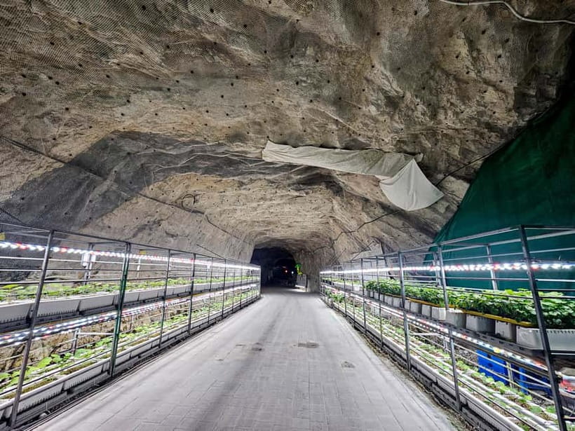 Seoul: Chungju Cruise, Cable Car & Cave Kayak Adventure Tour - The day flow from pickup to drop-off, and how to plan your timing