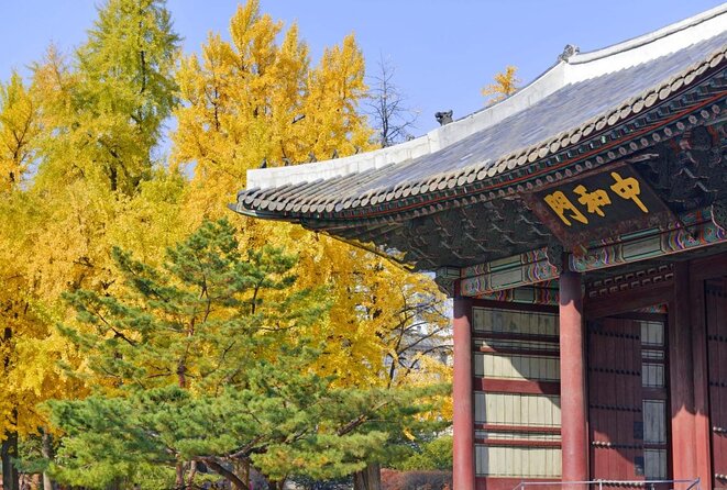 Seoul: Deoksugung Palace Night Tour - Guides: English narration that keeps the pace human