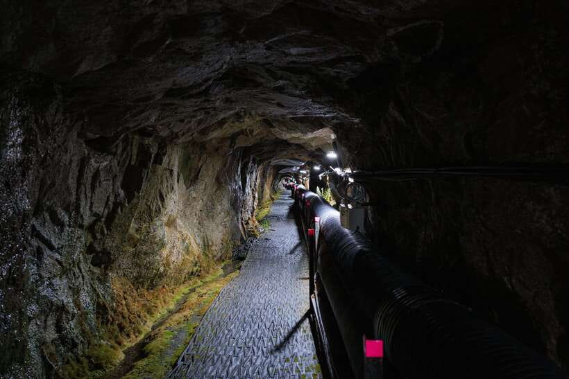 Seoul: DMZ 2nd Tunnel and Suspension Bridge Tour - Price and value: what $87 covers on a 10-hour day