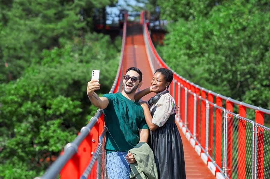 Seoul: DMZ Tour & Suspension Bridge (Option English/Spanish) - Key takeaways before you go