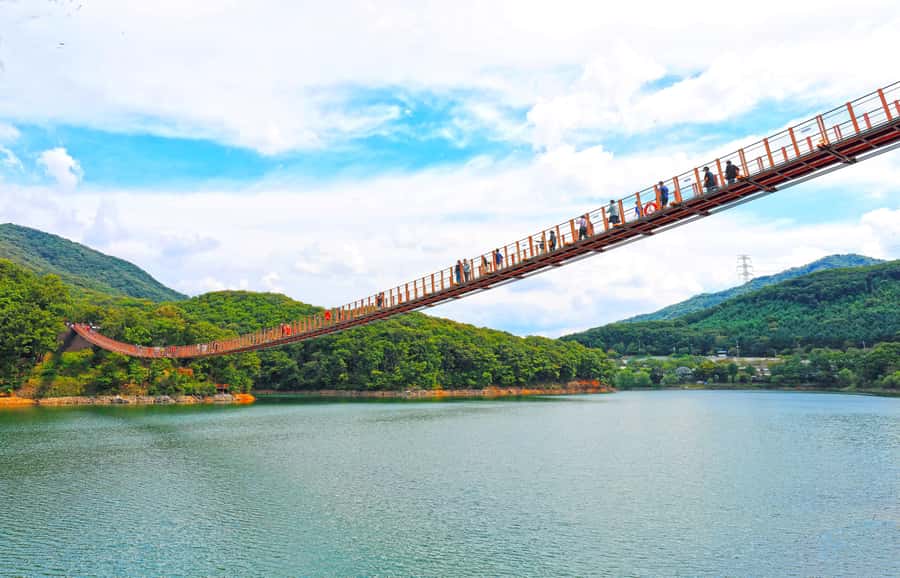 Seoul: DMZ Tour & Suspension Bridge (Option English/Spanish) - DMZ reality check: what you can and cannot control