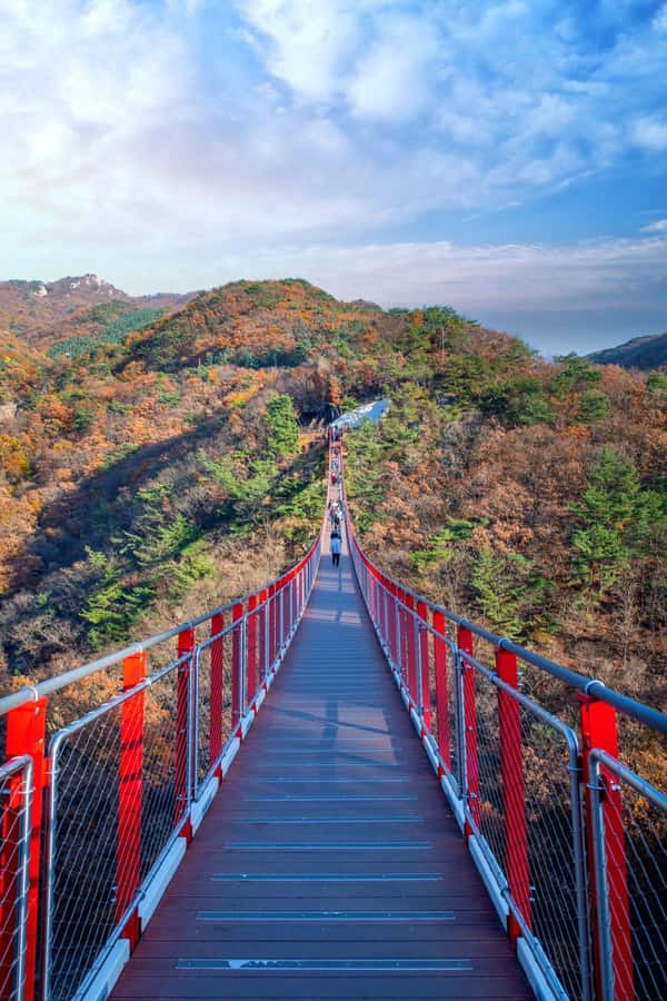 Seoul: DMZ Tour & Suspension Bridge (Option English/Spanish) - Gondola ride at Peace Park: easy add-on, but watch your time