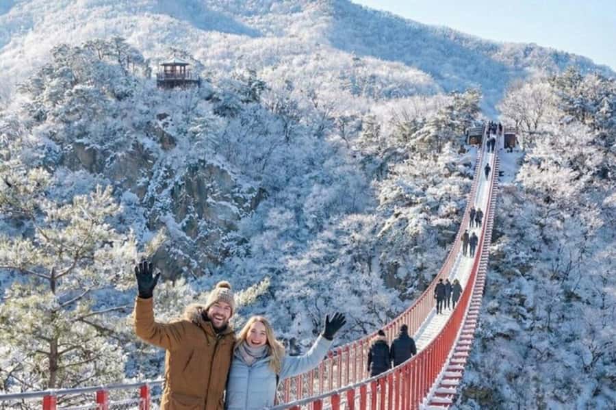 Seoul: DMZ Tour with Exclusive North Korean Defector Talk - Key things to know before you go