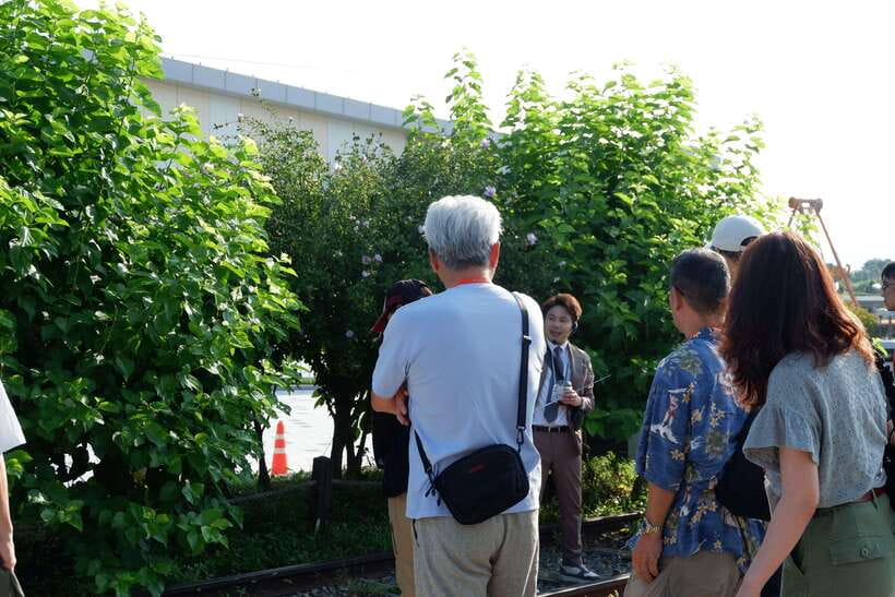 Seoul: DMZ Tour with Japanese-Speaking Guide - Cost and Value: What $50 Buys You