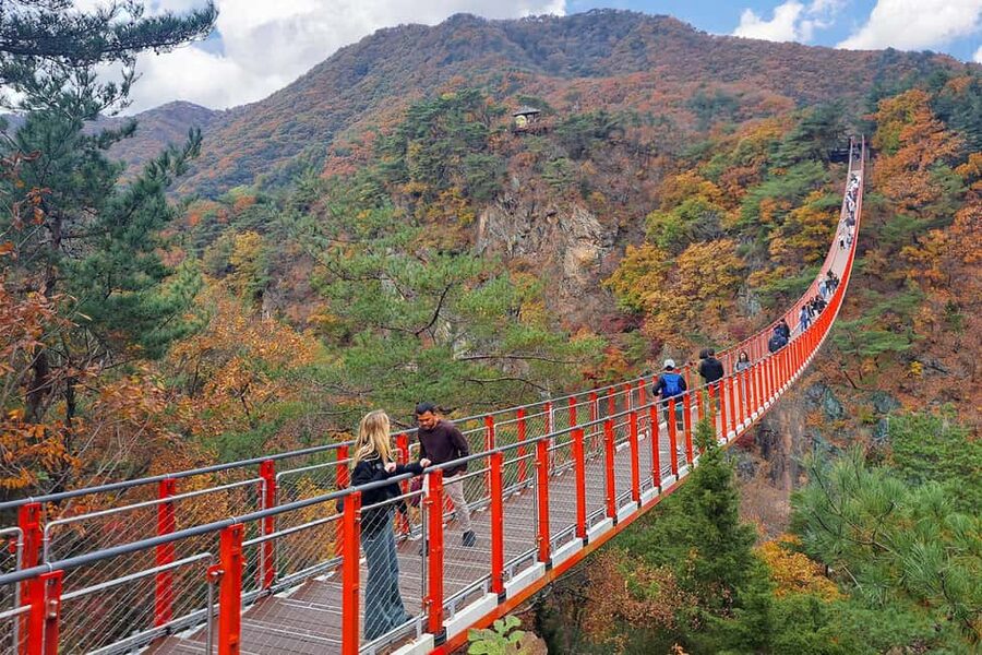 Seoul: DMZ with Optional Suspension Bridge & Gondola - Key Things I’d Bank On