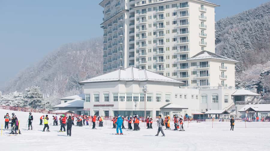 Seoul: Elysian Gangchon Winter Ski Resort Fun Day Tour - Free Time Until 4:00: Using Your Day Like a Winter Pro