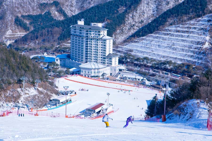 Seoul: Elysian Gangchon Winter Ski Resort Fun Day Tour - What You Get, What Costs Extra, and How to Budget Smart
