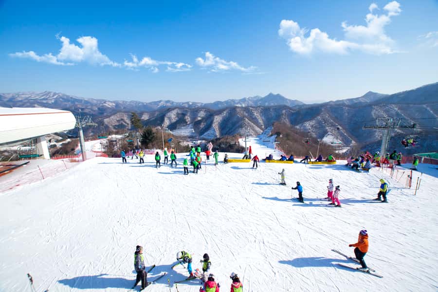 Seoul: Elysian Gangchon Winter Ski Resort Fun Day Tour - Who This Tour Suits Best