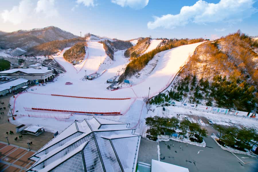Seoul: Elysian Gangchon Winter Ski Resort Fun Day Tour - Should You Book the Elysian Gangchon Winter Fun Day Tour?