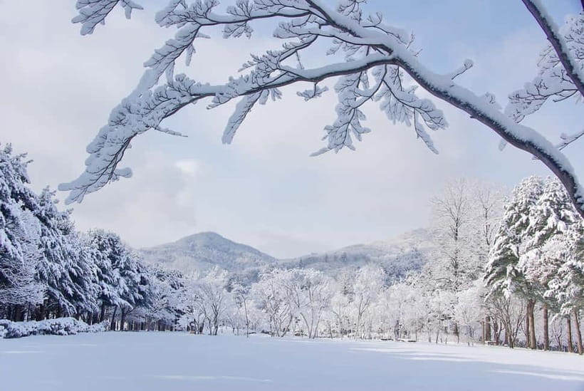 Seoul: Elysian Gangchon Winter Ski with Nami Island Day Tour - Key highlights that matter for your winter day