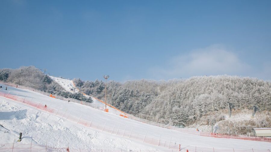 Seoul: Elysian Gangchon Winter Ski with Nami Island Day Tour - Should you book this Seoul winter ski and Nami day tour?