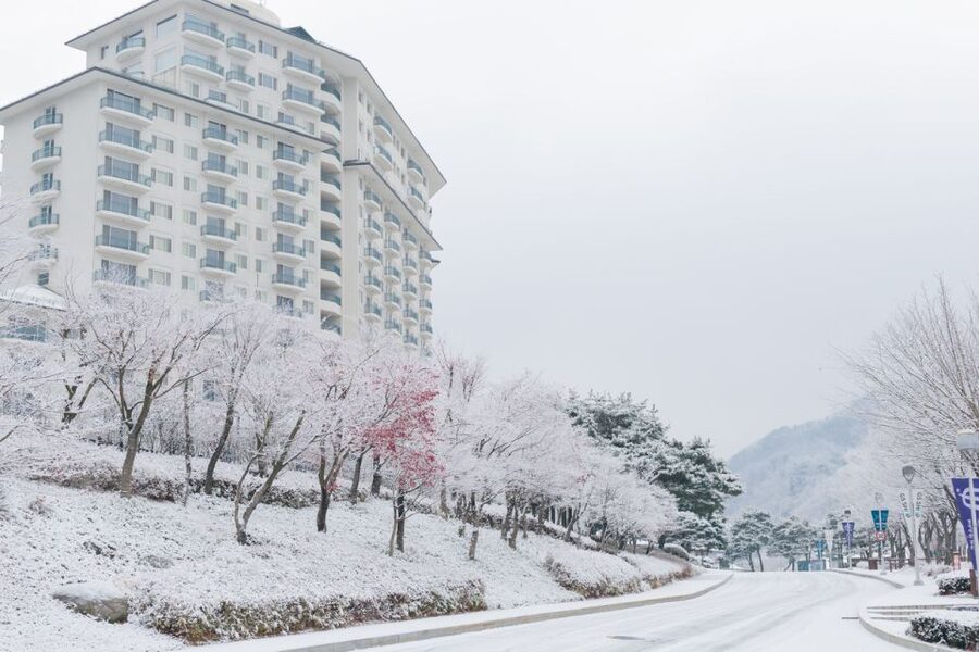 Seoul: Elysian Gangchon Winter Ski with Nami Island Day Tour - How the 12-hour schedule actually feels