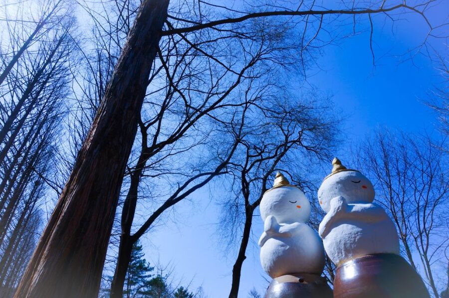 Seoul: Elysian Gangchon Winter Ski with Nami Island Day Tour - Winter gear basics, and what to buy separately