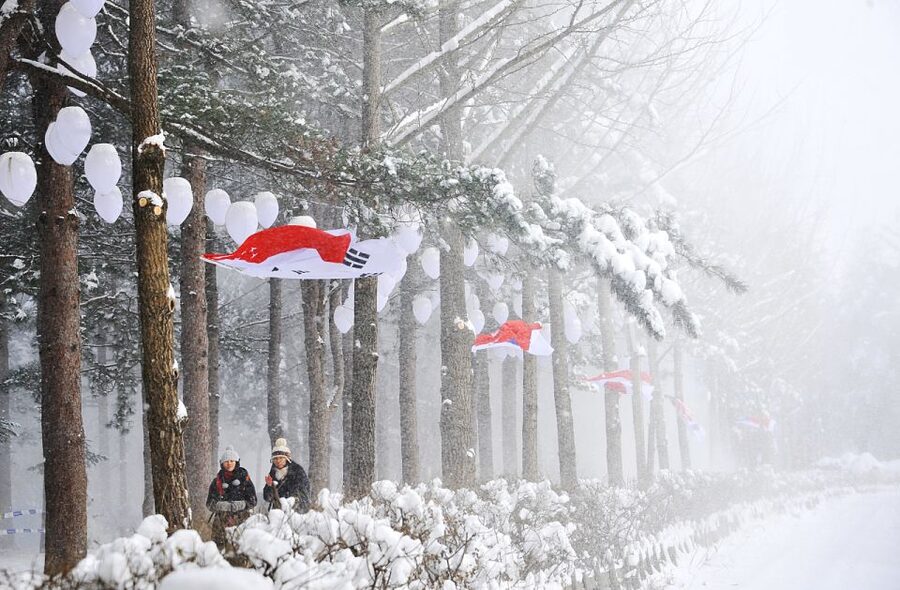 Seoul: Elysian Gangchon Winter Ski with Nami Island Day Tour - Who this tour is best for (and who should skip it)
