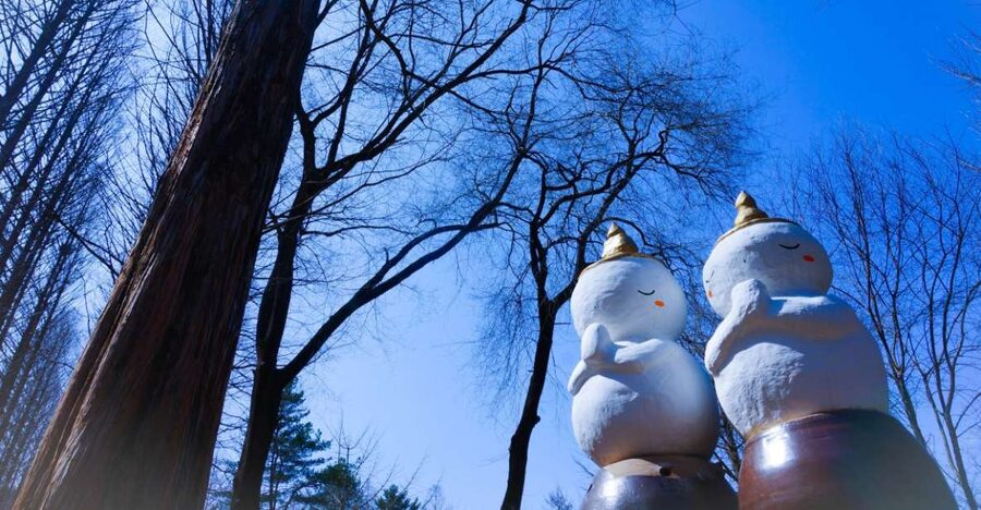 Seoul: Elysian Gangchon Winter Ski with Nami Island Day Tour - Nami Island in winter, 3.5 hours that feel like a slow photo walk