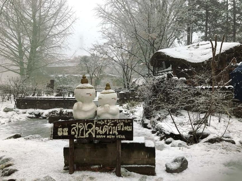 Seoul: Eobi+Nami+Hanbok(+RailBike or Strawberry Options)Tour - Nami Island: ferry time plus calm walking