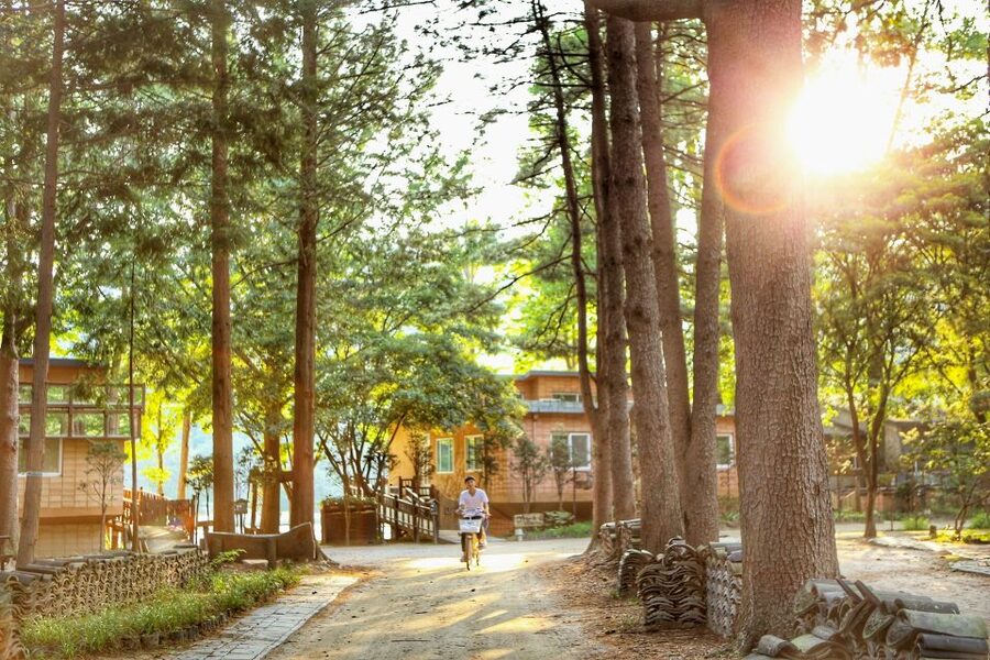 Seoul: Eobi Valley(Winter), Strawberry, Nami Island and Bike - Eobi Ice Valley in winter: how the schedule fits icy photos